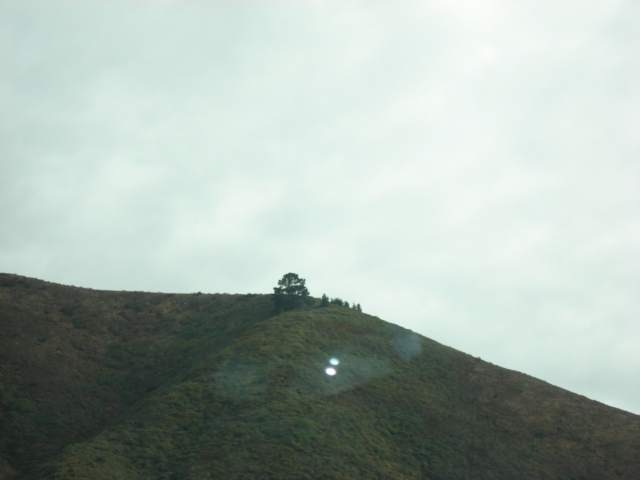 gal/2007 California/picture_118.jpg